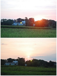 sunrise vert 4