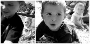 julkiera1 bw-horz