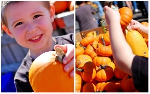 julpumpkin1-horz